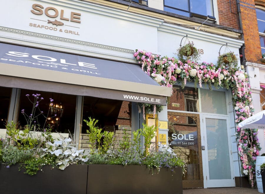 Sole Seafood Cafe and Restaurant Dublin