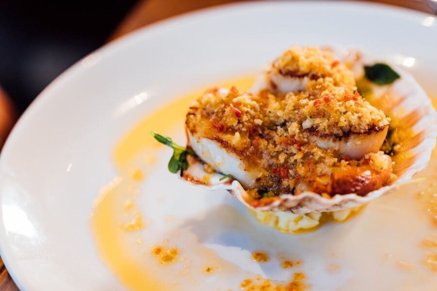 Scallops for Midweek Lunch in Dublin